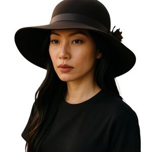 Women's 100% Wool Felt  Brown Floppy Hat. Grupo Inditex  (Zara)